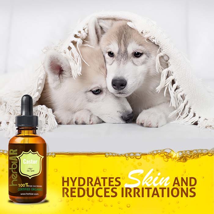 Castor Oil For Dogs Is Castor Oil Safe For Dogs Ventasuper