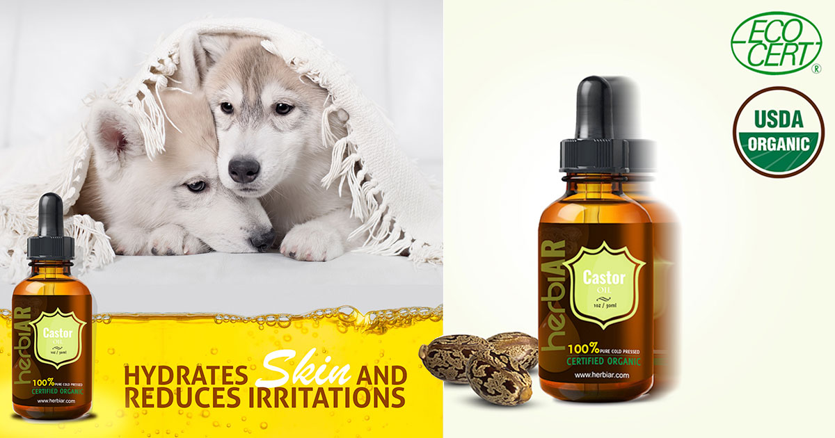 Castor Oil For Dogs Is Castor Oil Safe For Dogs Ventasuper